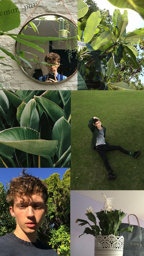 mar_pav_'s tweet photo. Troye Sivan Lockscreen
*rt if you save
*like if you like it
@troyesivan #TroyeSivan #green #lockscreen #troyesivanlockscreen https://t.co/3HXEEHVEM2