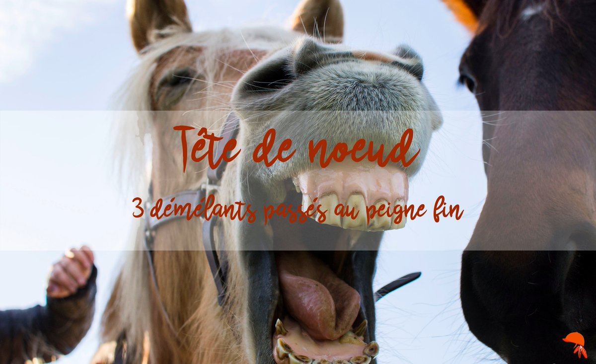 LucetteGardou's tweet photo. NEW #blogcheval #cheval @equibao @StubbenNA @FOUGANZAtest https://t.co/pyOLqstAFY