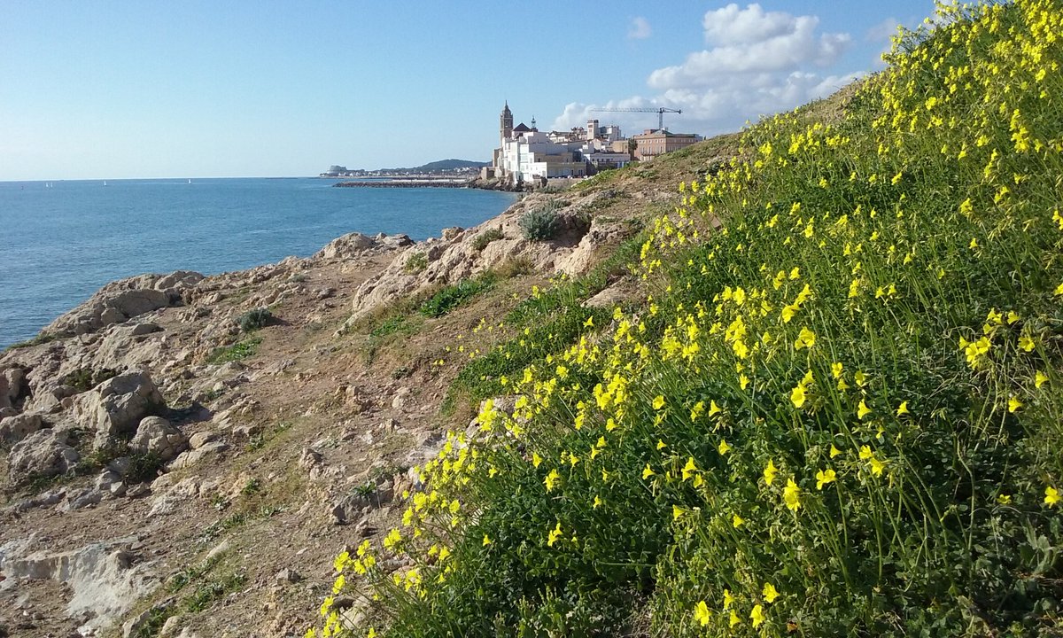 SmartFly_es's tweet image. #FelicesViajes2017 que este año sea lleno de #viaje y #experiencias y si no es mucho pedir.... Que sean baratos que así podré hacer más ;)