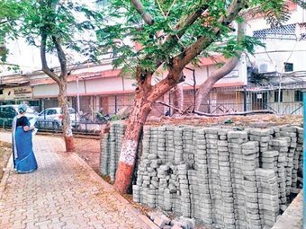 Afternoon_News's tweet photo. Systematic #cruelty #strangles #Vashi #trees https://t.co/8hYdM79zV0 #Environment #Nature #Greenery #WelfareConcern #Excessive #Drying #NMMC https://t.co/SIBbik88pA