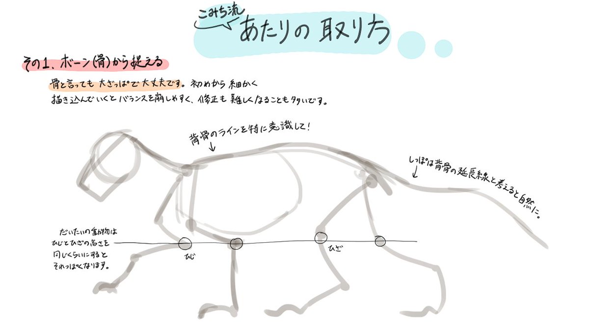 お絵かき講座パルミー 添削キャンペーン実施中 イラストレーターのこみちさんによる 動物イラストの描き方講座 です トラとライオン キツネとコヨーテなど 体格が似ている動物について それぞれの特徴を解説していきますよー 似ている動物の描き