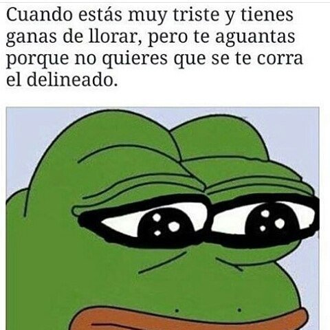 VersoEnImagenes's tweet photo. https://t.co/SdlPlRvJ0N