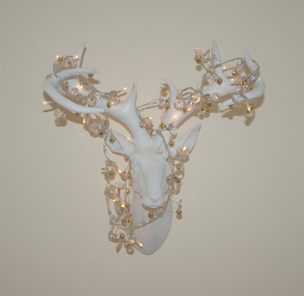 Redvers Home tweet media