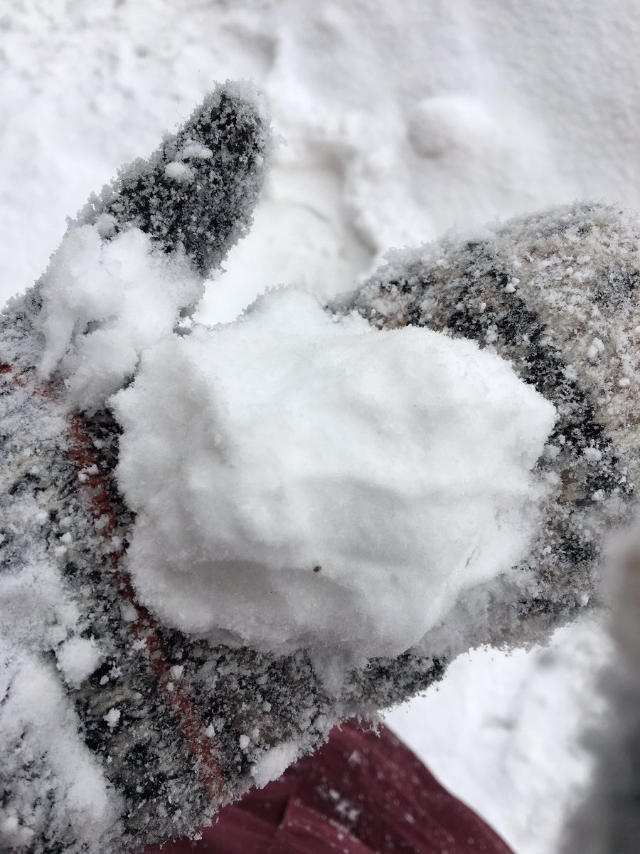 RochelleAlleyne's tweet photo. Snow coverage has its perks. #firstsnowball #NYSnow https://t.co/H3mw04WFVE