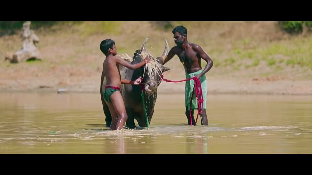 Stron_Jalikettu tweet picture