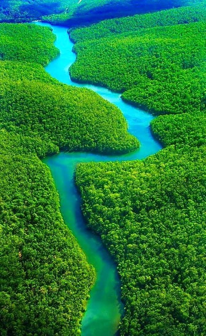 WorldTourisms's tweet photo. The Amazon Rain Forest, Brazil 📸 https://t.co/YvAkuD5oE9