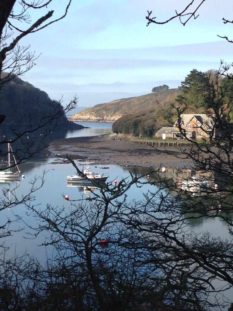 CateTaynton's tweet photo. Beautiful Yealm estuary today #ilovedevon https://t.co/oEtnejDGUY