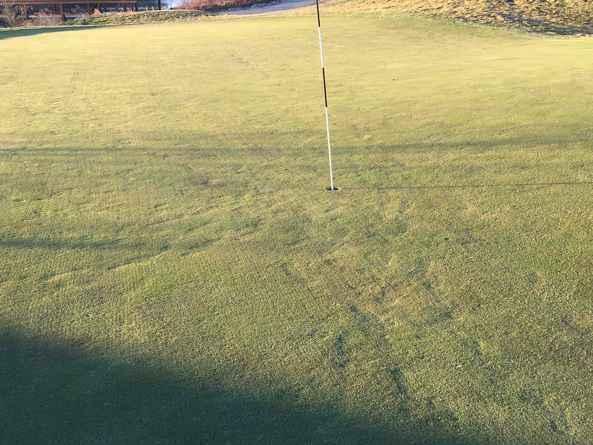 Freeze/Thaw does have consequences when allowing golf out. Warm-ups are nice, but foot traffic can have an ill effect on roots @VNGCMAINT