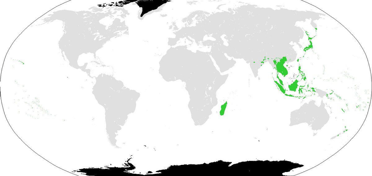 NewJapanBanzai's tweet photo. Japanese language classification is Isolated or Para-Austronesian; part of the bigger Austric-family(or Austro-Tai) https://t.co/C3u29SI7cq