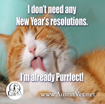 Austin_Vets's tweet image. I don't need any New Year's resolutions. I'm already Purrfect! #pets #austinvet austinvet.net