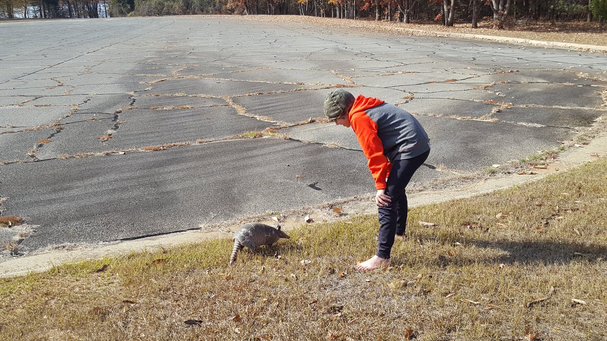 Hello there little armadillo. Always something going on in #thesouth
