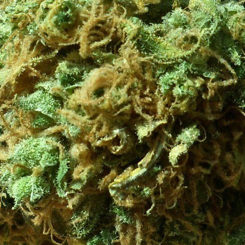 4Corners_Crew's tweet image. BOOM BOOM BOOM
New Tune out - FREE DOWNLOAD
soundcloud.com/4corners-crew/…