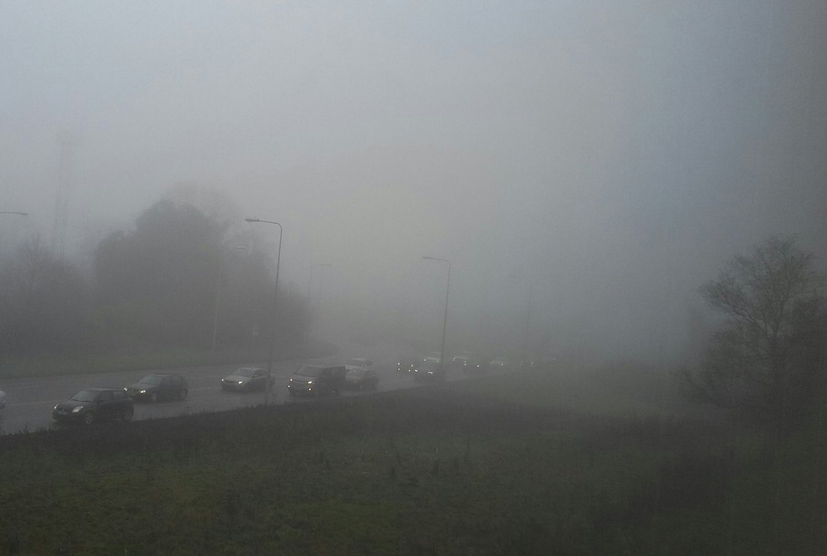 AlexHJ25's tweet photo. Horrendous weather in Norfolk today. Hopefully tomorrow will be better and we can improve our views of Red-breasted Goose! #fog #FoggingHell https://t.co/wbJG7uQmli