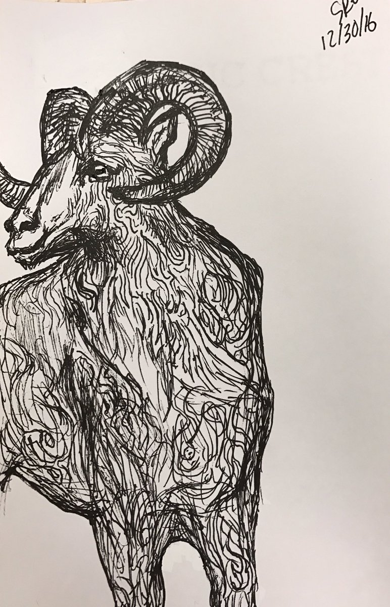 slothanova's tweet photo. #stuffidraw https://t.co/Aw0fkdzpaX