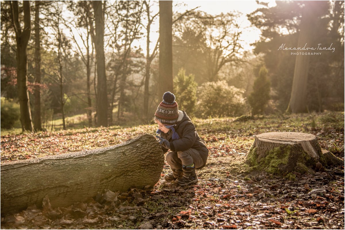 AlexTandyPhotos's tweet photo. Children's portraits shouldn't be restricted 2 head &amp; shoulders - it's nice to capture their curiosity as well! #bodicote #banbury #oxtweets https://t.co/R3oWQeMXTz