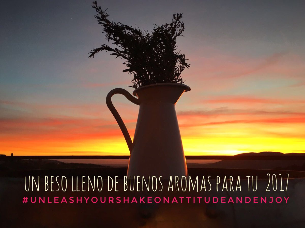 Deseos de buenas actitudes para el 2017 ✨✨