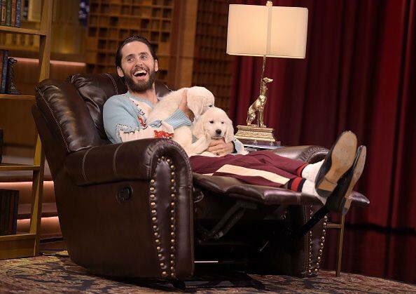 AngelsofPhoenix's tweet photo. #FBF Jared Leto costared with the most adorable puppies on Jimmy Fallon! #2016FBF #JaredLeto #PuppyLove #JimmyFallon https://t.co/RZQNpKyr68