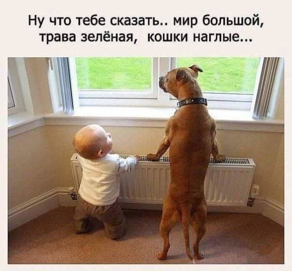 самое #смешное (@galichka0406) on Twitter photo 