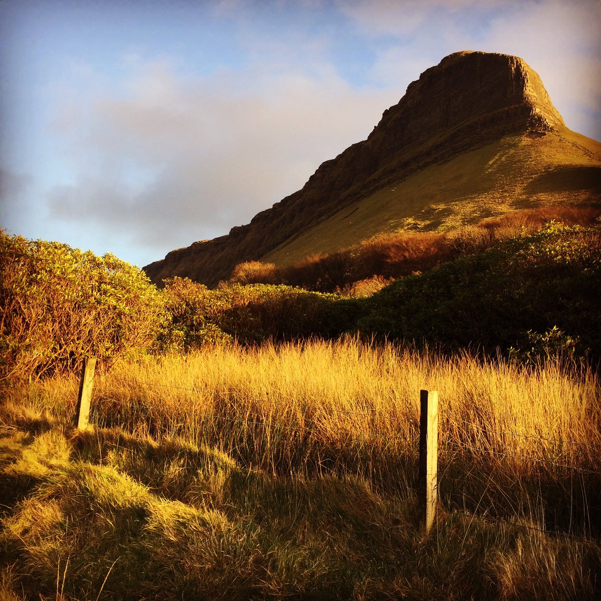 SligoCottage's tweet photo. Lovely evening walk at Barnaribbon, Co. Sligo yesterday.@SligoWalks @sligotourism https://t.co/0pRdlKB8JD