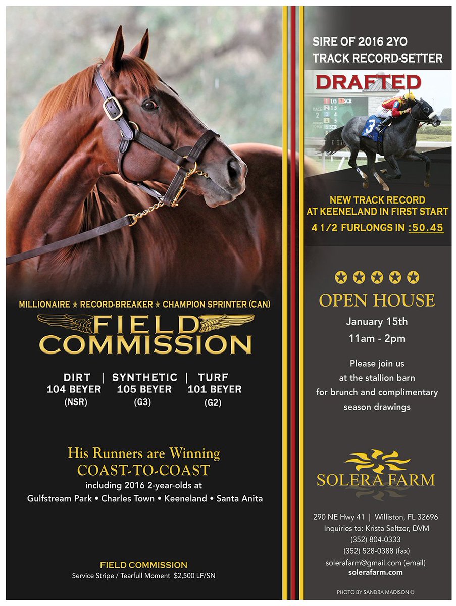 florida_horse's tweet photo. #FieldCommission
Sire of 2016 Track Record-Setter #DRAFTED
@solerafarm Open House Jan. 15 - 11am to 2pm
#stallionshow #floridasires #ocala https://t.co/DG0trIxyos