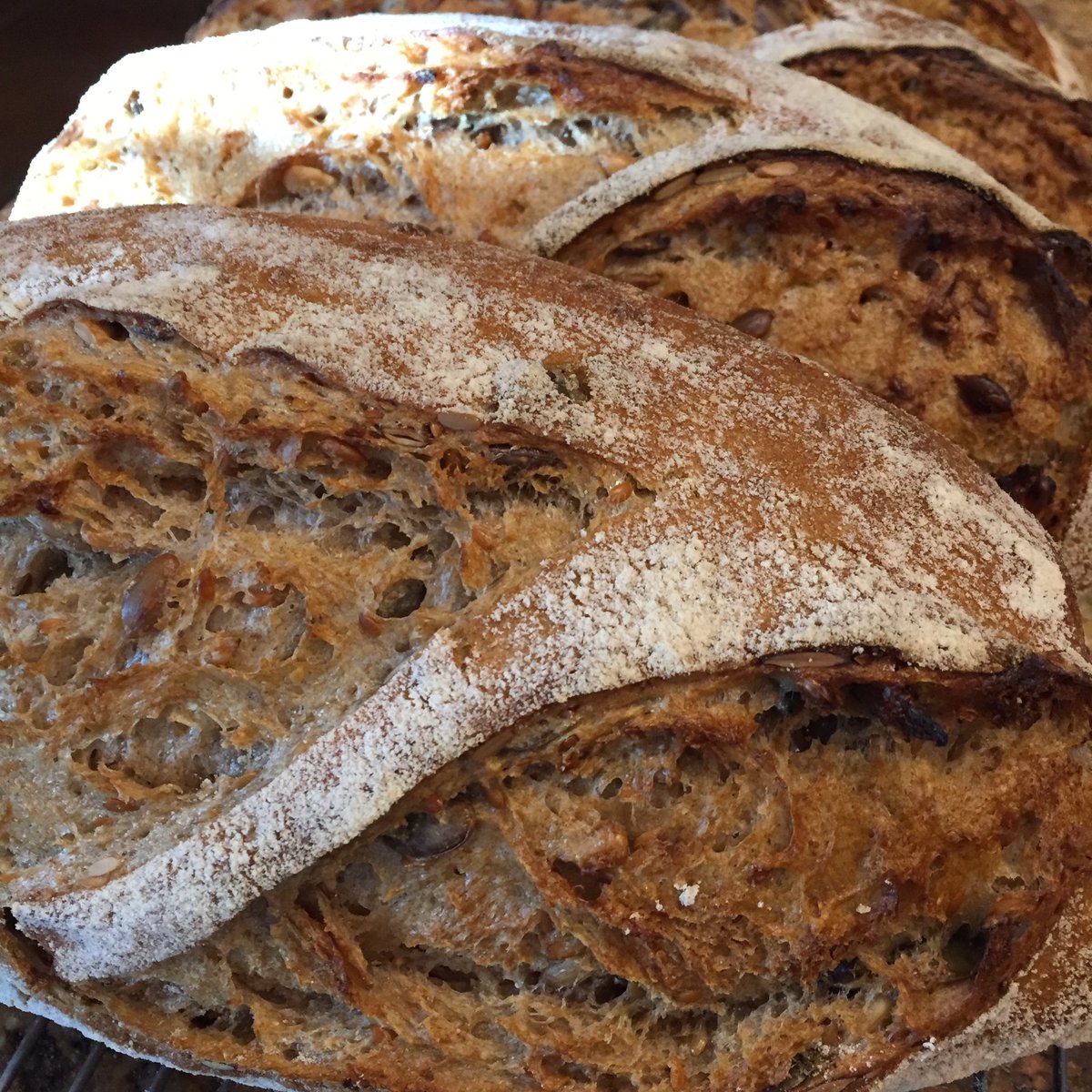 ChezPain's tweet photo. Seeded rye! Cracking hot! https://t.co/p3zXwBFFRH