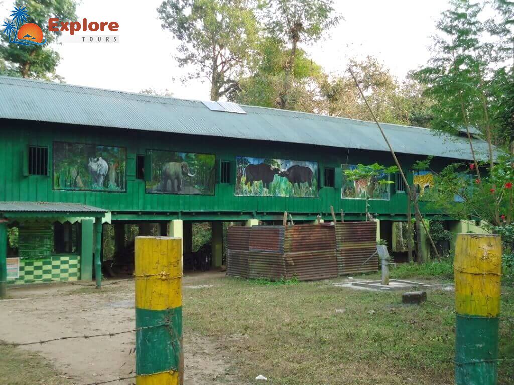 exploretours9's tweet photo. Gorumara Jungle Safari
“Life is a zoo in a jungle”
https://t.co/4zge8d6JOx
#exploretours #onefamilyonevision @ARKAHALDER5 https://t.co/Nx6T2SH6Jt
