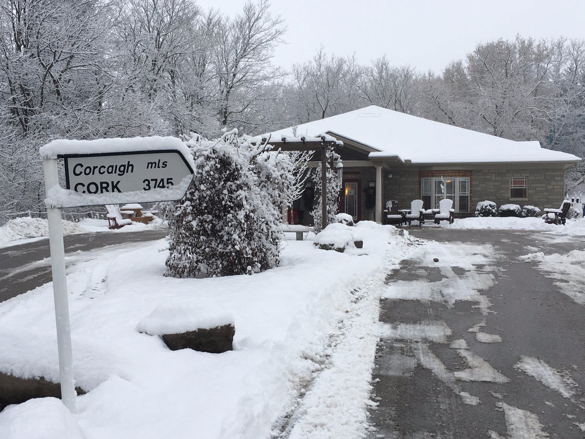 #lissardhouse looks beautiful today