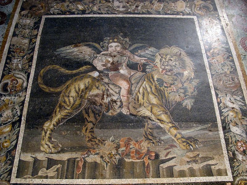 portalmitologia's tweet photo. Dioniso niño montado en un tigre, en un mosaico de la Casa del Fauno en Pompeya. https://t.co/J4nDOp45Th