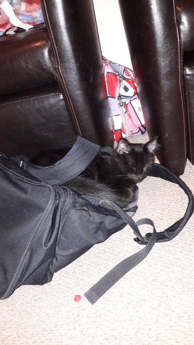 He loves my <a href="/BriveLimTri/">Brive Limousin Tri</a> bag!! Must be some good stuff!