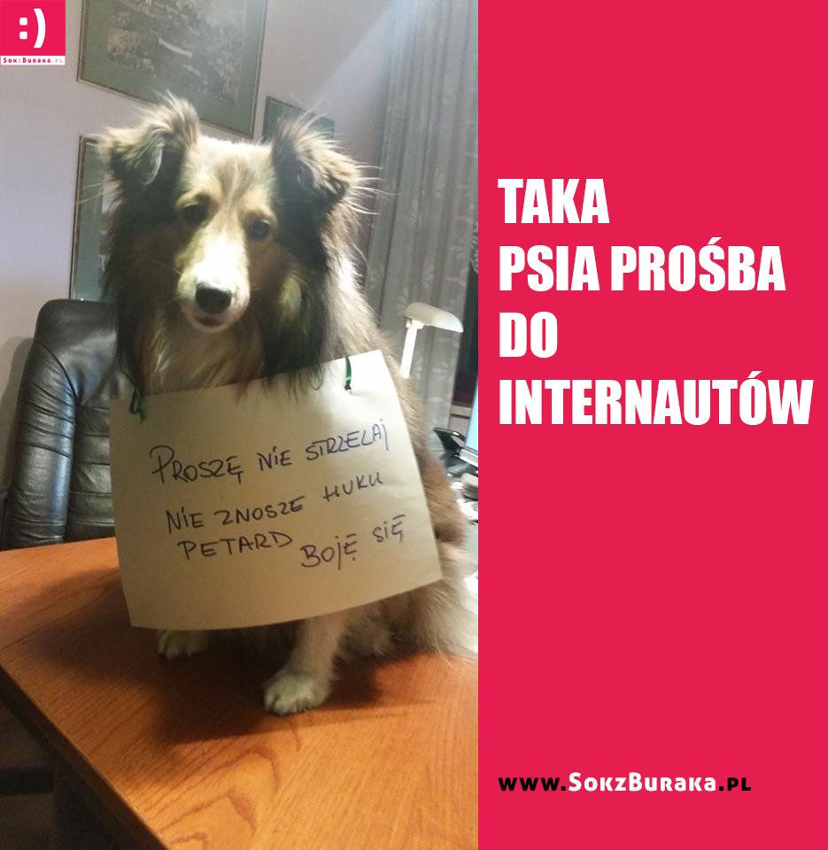 WARTO UDOSTĘPNIĆ, ABY WSZYSCY WIEDZIELI
-------------------
polub nas zanim będzie za późno: sokzburaka.pl