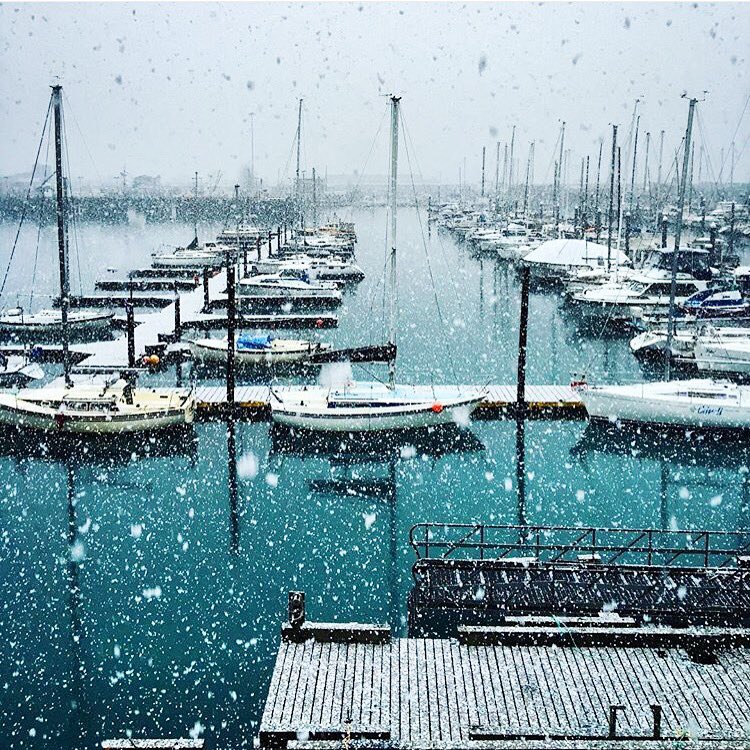 AlaskaScratch's tweet photo. This capture of Seward Harbor in February is my favorite scenic shot of 2016. #alaska https://t.co/0zgyVRlRoY