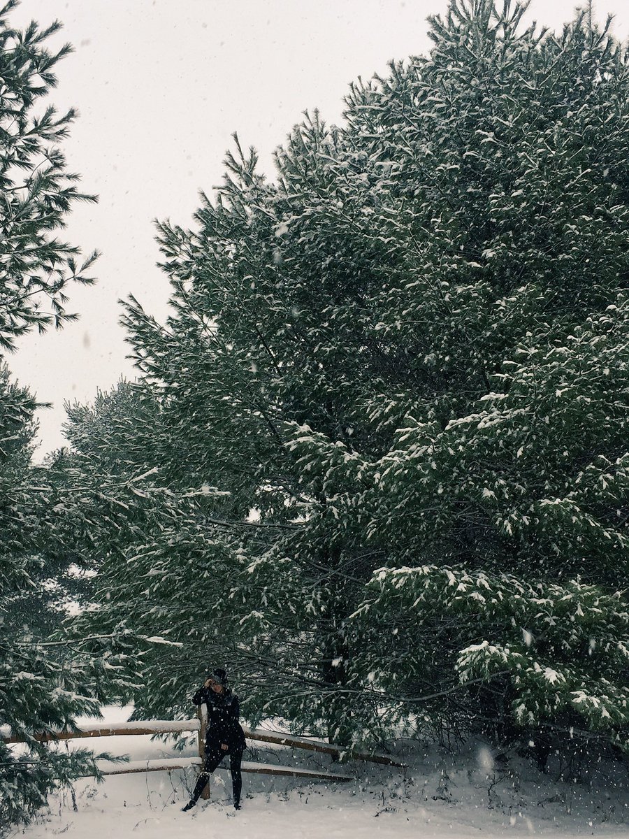modamant's tweet photo. Es tan hermoso ❄❄ https://t.co/DogSpxBAxY