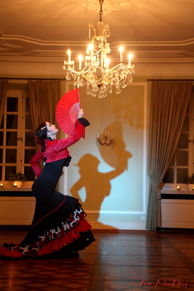 FlamenCati's tweet photo. #Professional #Silvester #flamenco #PASION #düsseldorftanz #tanzschule #lacati #akademiefürflamencokunst #flamenca #dancer #event #booking https://t.co/xjFov8M1m3