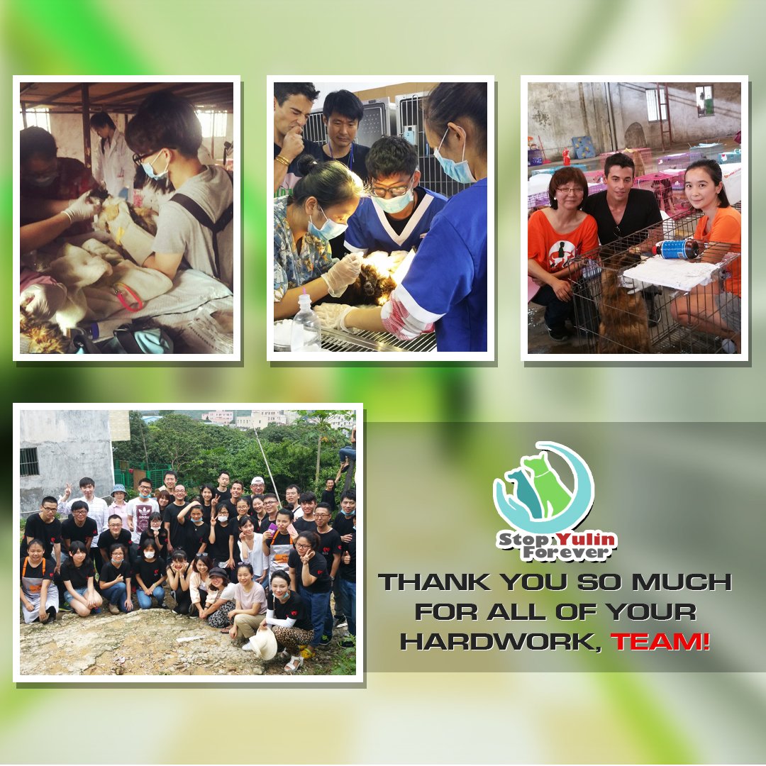 stopyulinforevr's tweet photo. Your hard work and dedication are very much appreciated! Thank you!
#AllyForChange #MakeAChange #StopYulinForever https://t.co/iTHZJVYvak