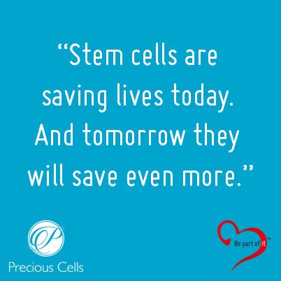 Precious_Cells's tweet photo. Blog | Be Part Of It in 2017! https://t.co/7b99IhzhHI #stemcells #cordblood #stemcellbank #newyear https://t.co/bZoFN65cbb