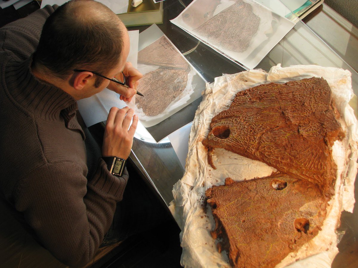 EJIP2026's tweet image. Metoposaurus algarvensis, temnospondylio gigante do Triásico Superior da Penina (#Algarve). #Triasic, #vertebrates, #amphibians