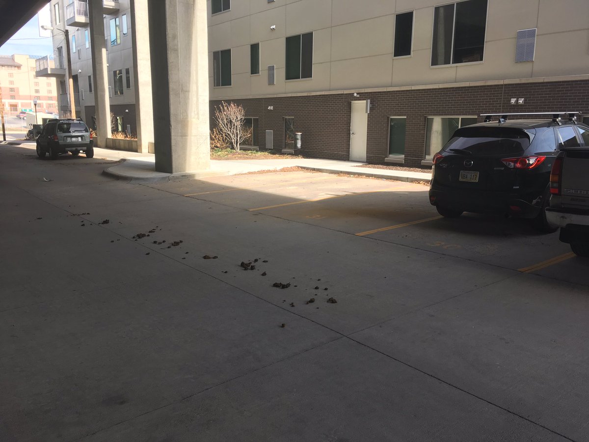 BoonyBeats's tweet photo. @OmahaPolice you really just let your horses shit in private parking lots where people walk to their cars, and don't clean it up? https://t.co/sPAcaxtw5g