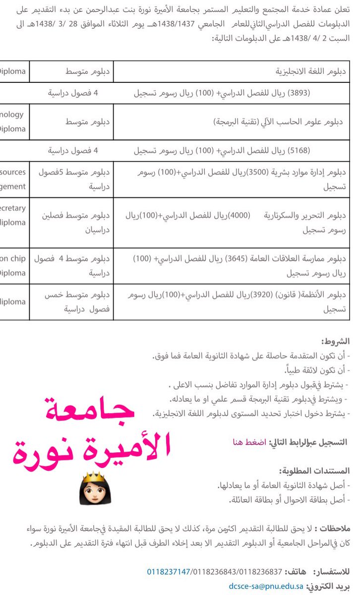 جامعة الأميرة نورة التخصصات – ووردز