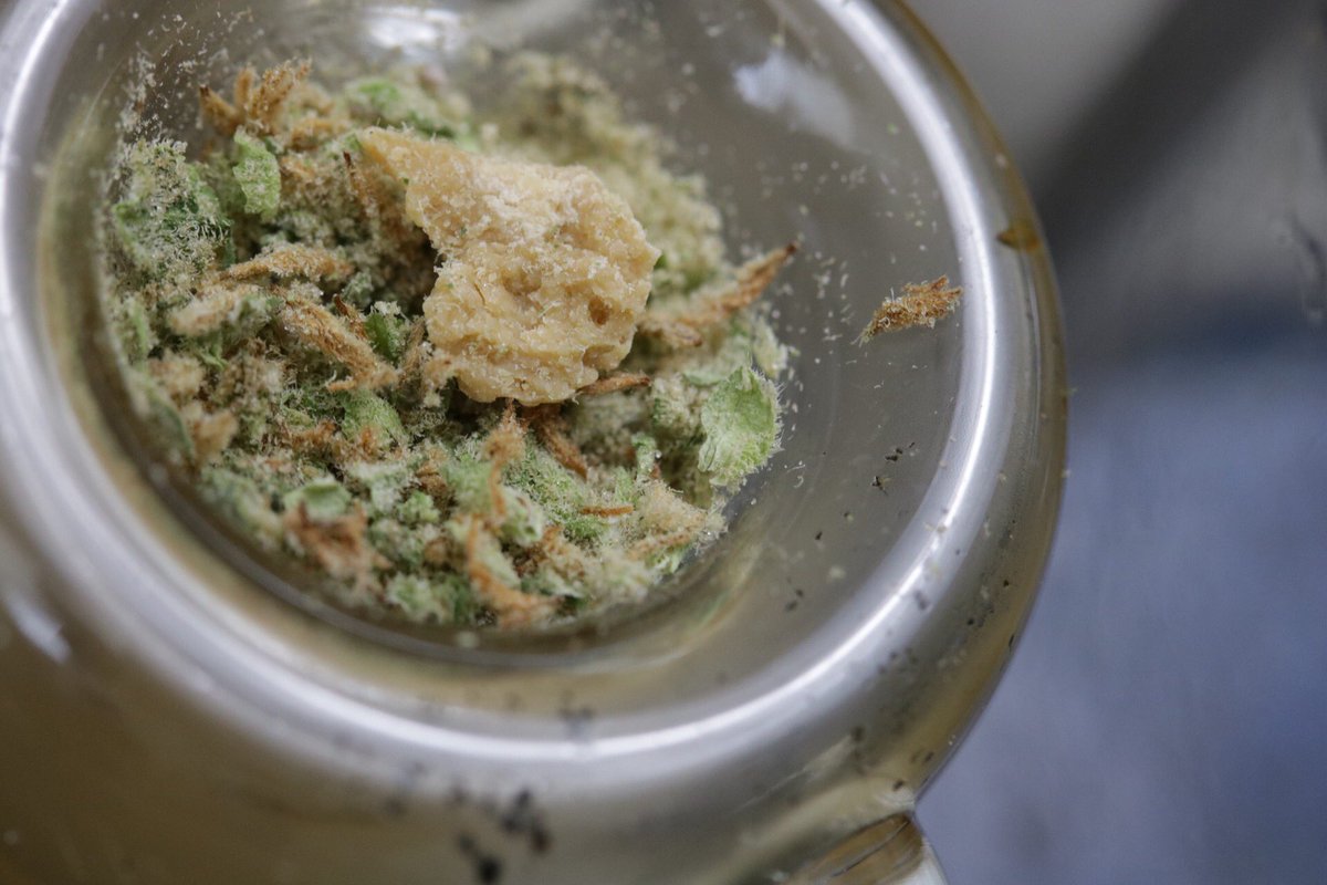 WeedWkly's tweet photo. #BigBand #keefedup #BlueDreamWax #ZobBong #IfYourNotSmokingYouShouldB #BongBowls #Bud #Weed #420 #wax This will get you #BakedFace ! https://t.co/cTsixMYTkG