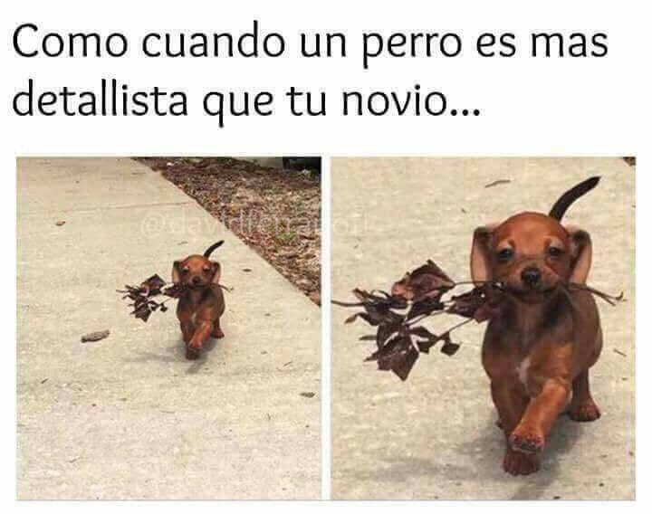 Oh ohhh!!! Por cada persona que esté de acuerdo, habrá un RT! 😂😅😂