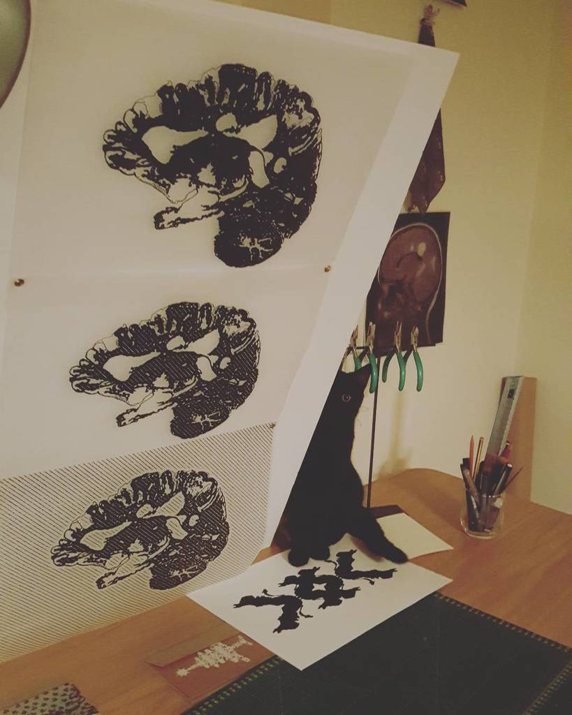 mskirstystevens's tweet photo. Little Kuro destroying my studio! 🐱 #littlekuro #kurosan #mylittlepanther #gotatasteforfoamboard #studiokitten #ch… https://t.co/mBLhqeScSp