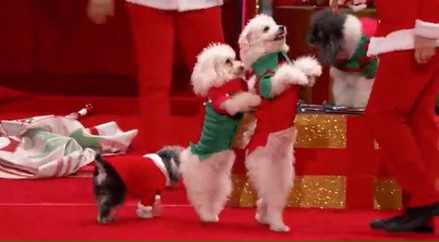 WorldMusics1's tweet photo. Absolutely brilliant! ...
https://t.co/G2tvDolKoY
#AGT2016 https://t.co/YIHnK6XTqM