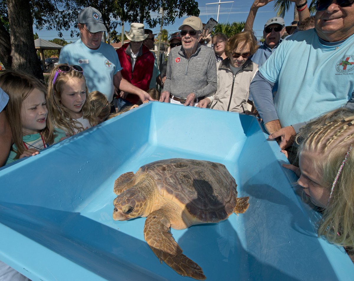 Former President Jimmy Carter &amp; 40 family members are visiting the Florida Keys! Today released "Salty," a loggerhead sea turtle #FLKeys
