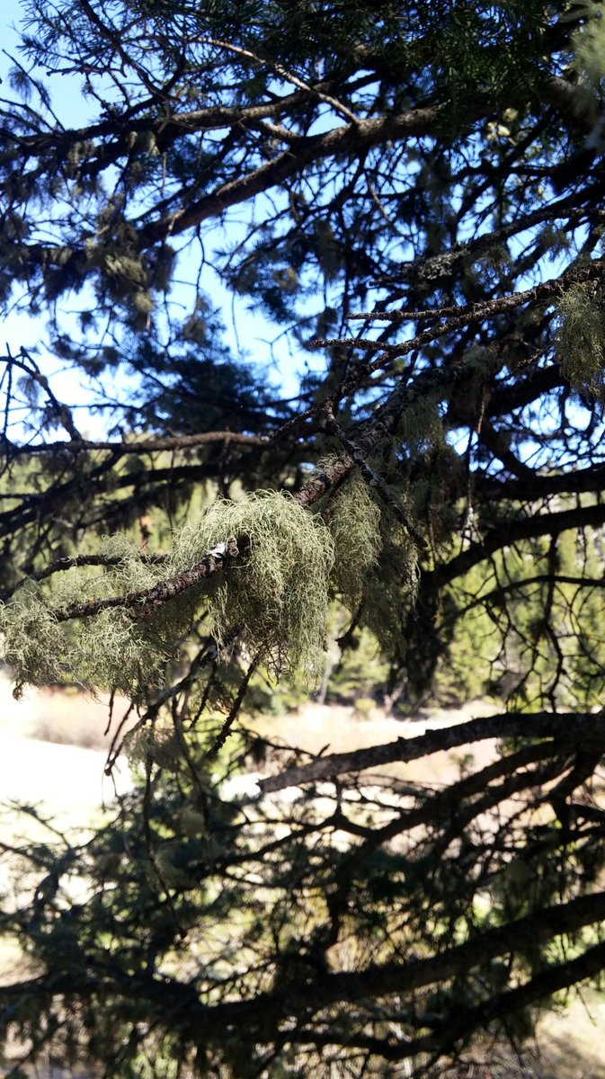 Brad Bauer tweet media