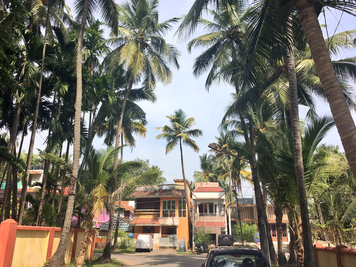 Emily_Firmanx's tweet photo. Kochi has got to be one of the most rusticly beautiful places on this Earth🌎✈️ x https://t.co/sbIgoXAfFR