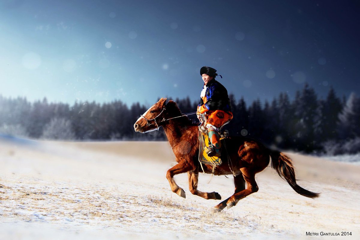 Монгол эрийн хийморь.,