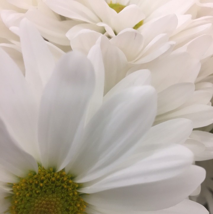 Fiftys_Fitties's tweet photo. 2.3 @CharityMiles  @TeamASPCA! TY to @KennethCole for  sponsoring! #MyStepsWill make a difference #500For50 https://t.co/8Z6aV7M2Z0 https://t.co/AsROfOeV7w