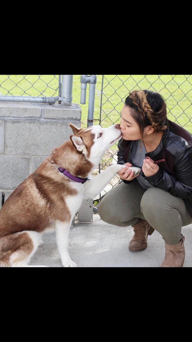 ElleIvey's tweet photo. If you have any information please reach out to @JaaackJack.Keeping the faith that Coco Ellie will be found safe and sound! #FindCocoEllie https://t.co/pYVk8nnSAj