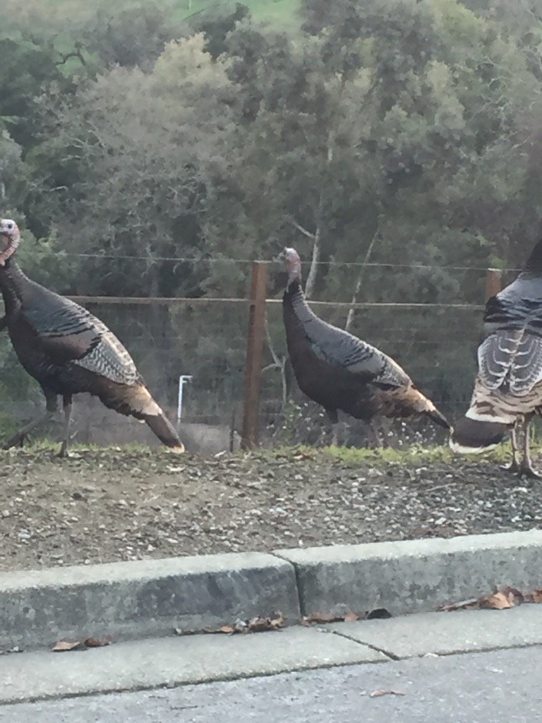 Russell Perry tweet media