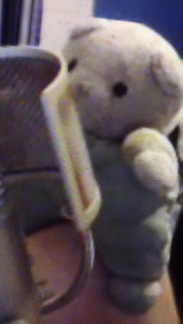 BlueTeddyBot's tweet image. 